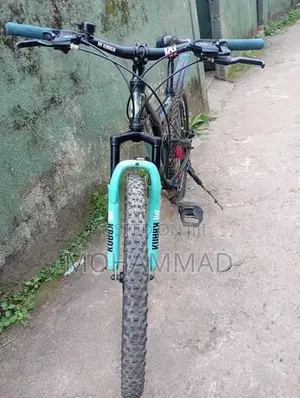 Lumala Bicycle