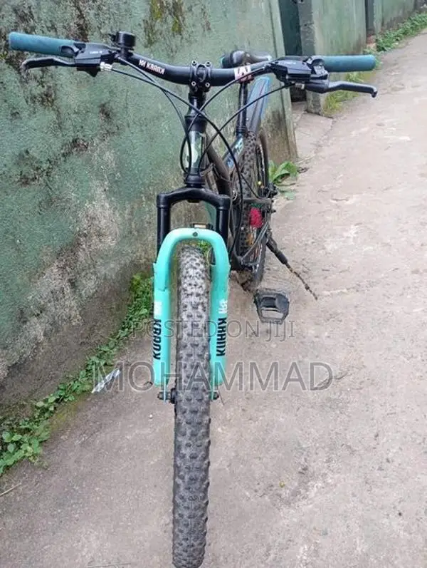 Lumala Bicycle