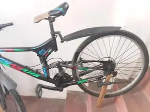 Tomahawk Bicycle