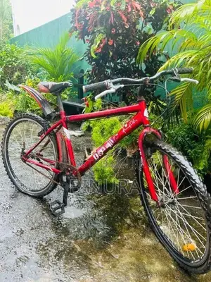 DSI Bike