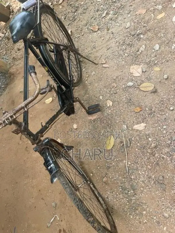 lumala gens bicycle