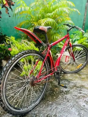 DSI Bike