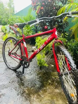 DSI Bike