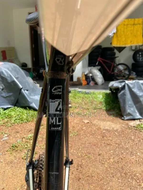 GIANT BICYCLE