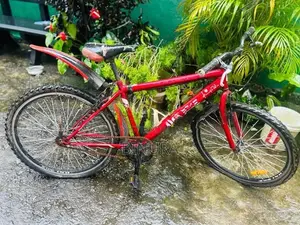 DSI Bike