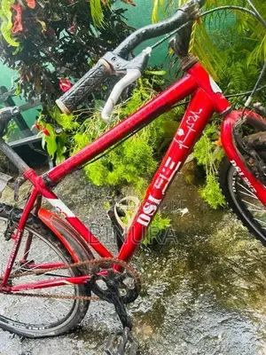 DSI Bike