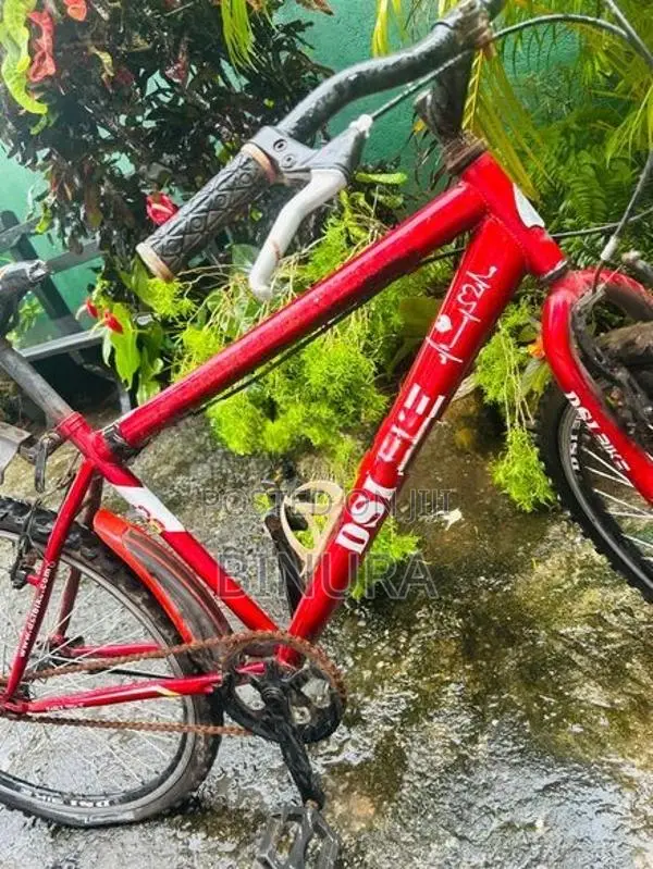 DSI Bike