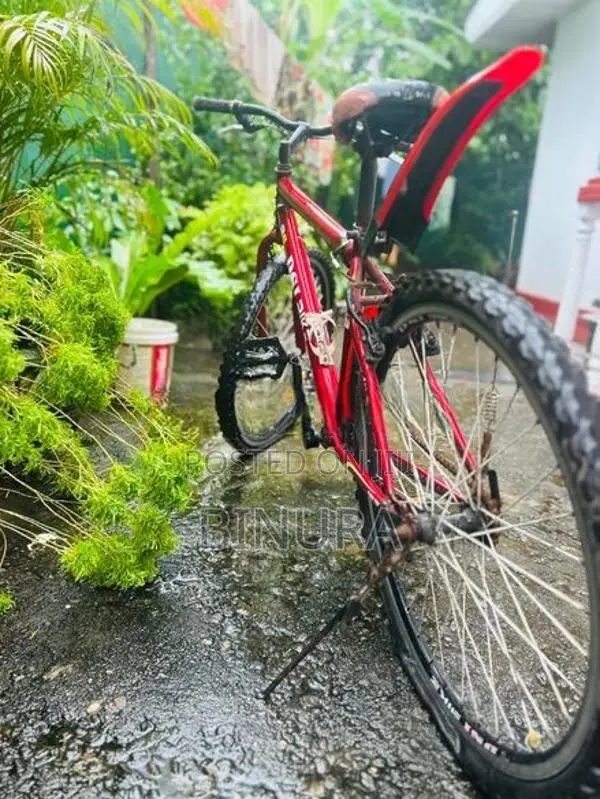DSI Bike