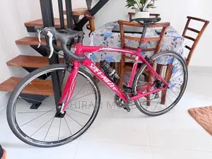 Racing Bicycle
