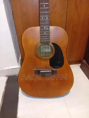 Guitar