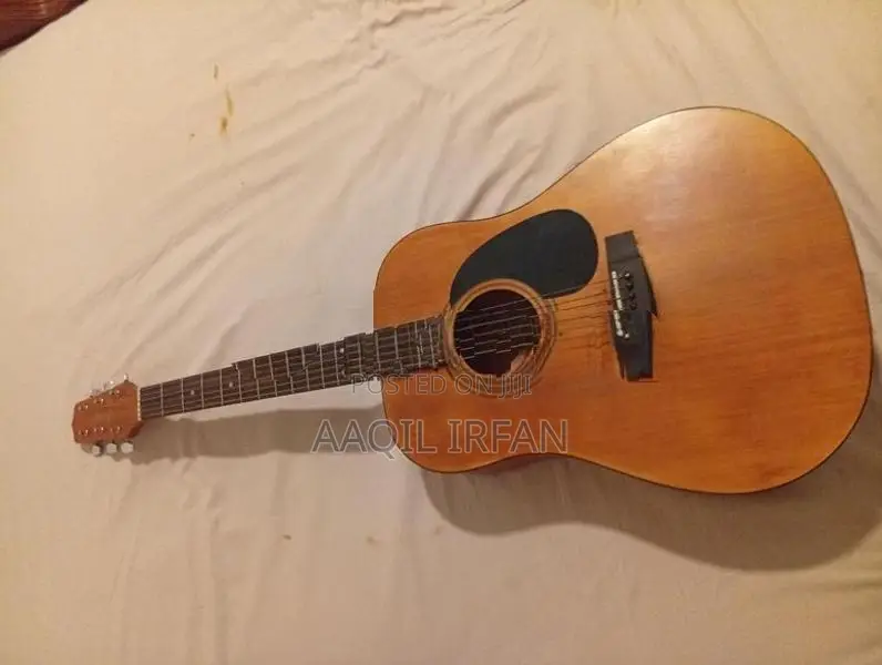 Guitar