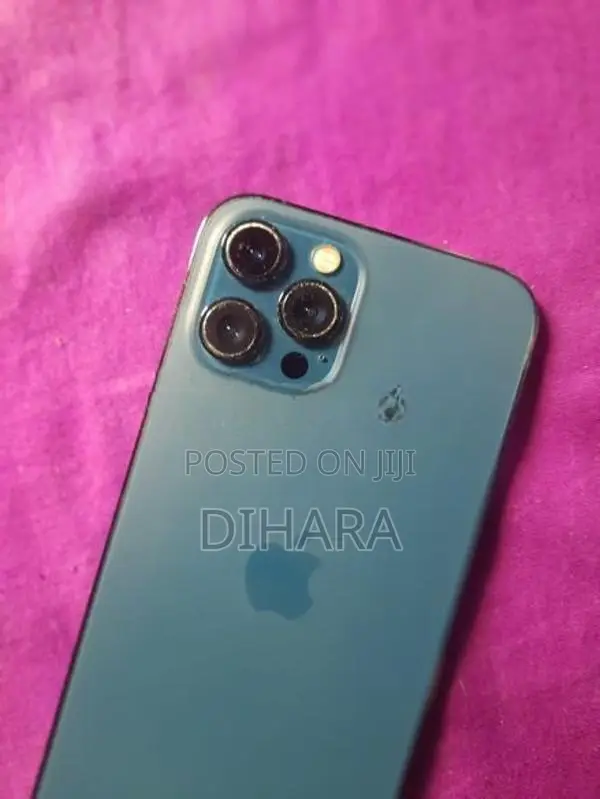 Apple iPhone 12 Pro Max (Used)