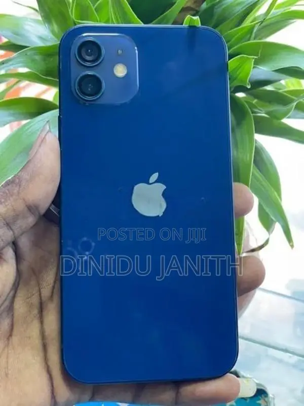 Apple iPhone 12 (Used)
