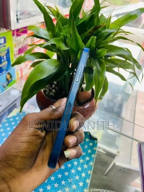 Apple iPhone 12 (Used)