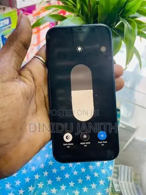Apple iPhone 12 (Used)