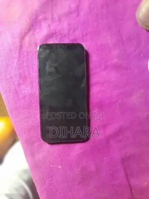 Apple iPhone 12 Pro Max (Used)