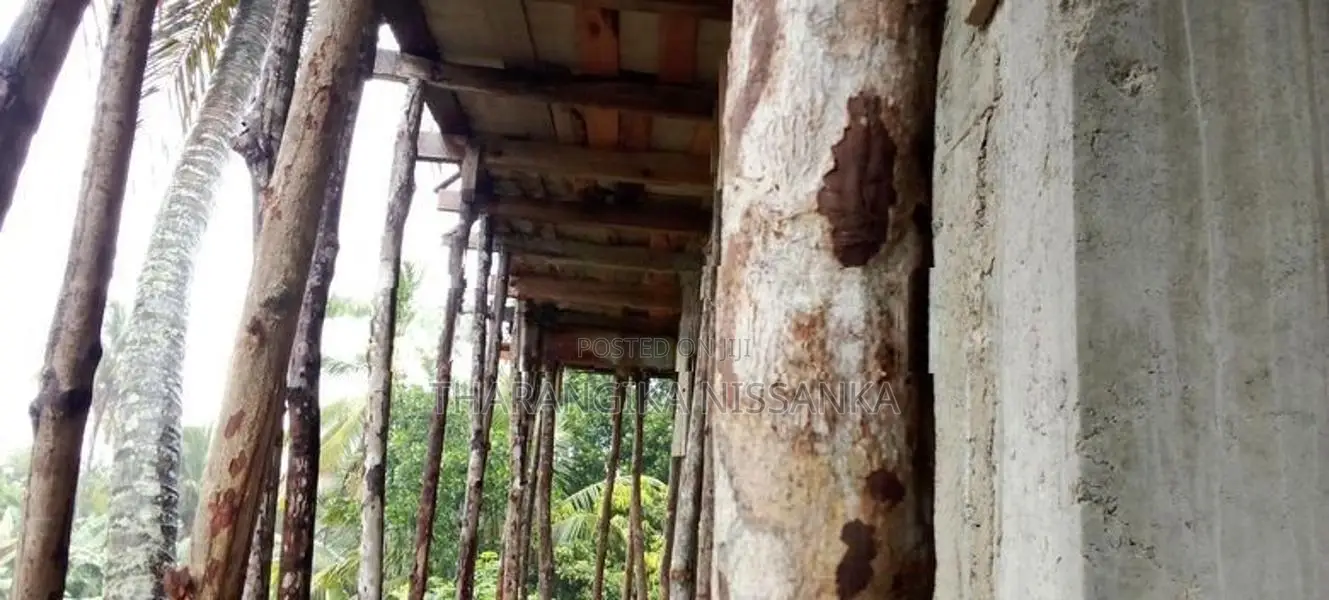 සැටලිමක්