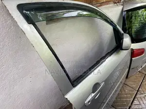 Mazda Demio Door