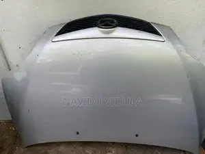 Mazda Demio Door