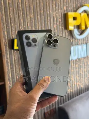 Apple iPhone 13 Pro Max 256GB (Used)