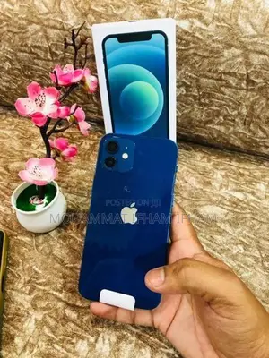 Apple iPhone 12 128GB (Used)