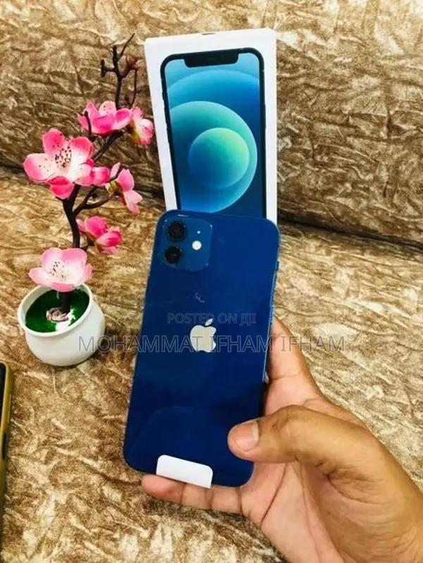 Apple iPhone 12 128GB (Used)