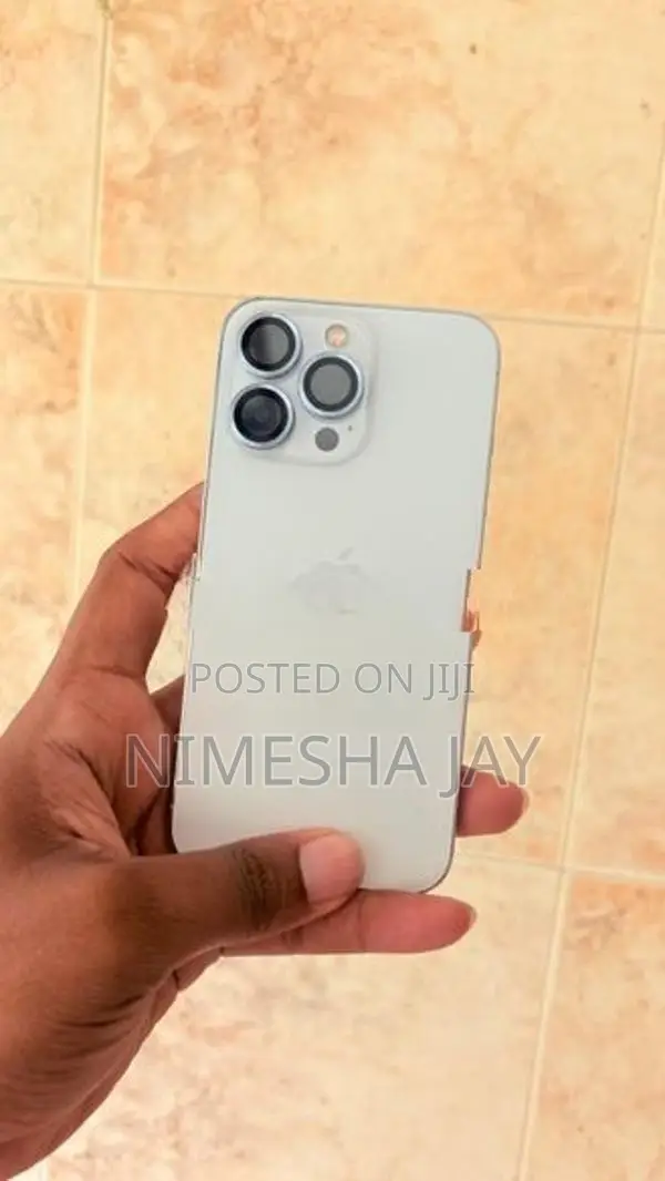 Apple iPhone 13 Pro 256GB (Used)
