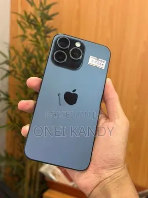 Apple iPhone 15 Pro Max 256GB (Used)