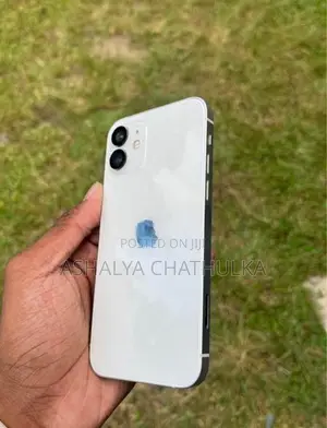 Apple iPhone 12 (Used)