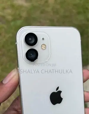 Apple iPhone 12 (Used)