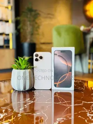 Apple iPhone 16 Pro Max 256GB (Used)