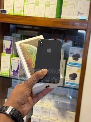 Apple iPhone XS Max 256GB (Used)