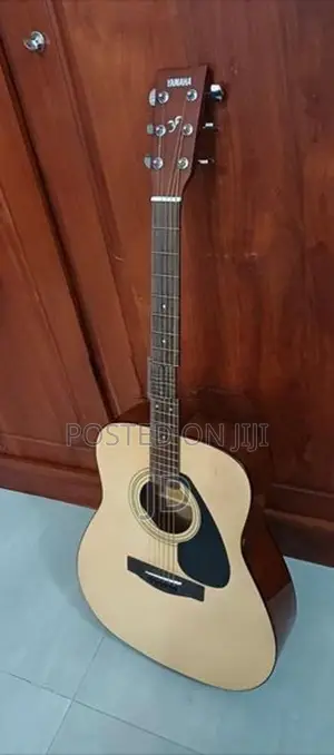 Acoustic Guitar