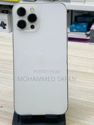Apple iPhone 12 Pro Max (Used)