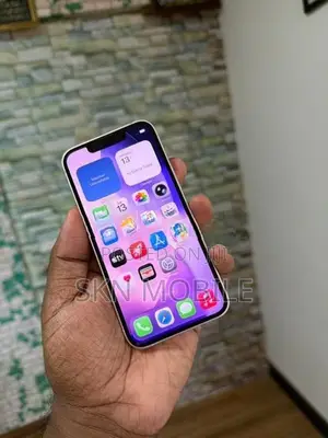 Apple iPhone 13 256GB (Used)