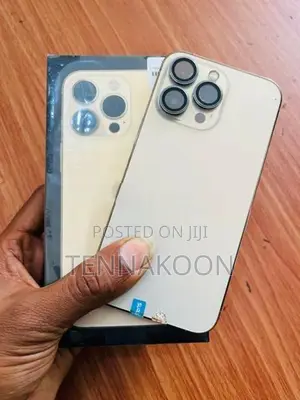 Apple iPhone 13 Pro 256GB (Used)