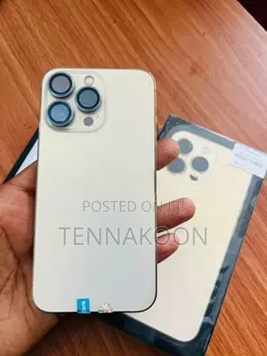 Apple iPhone 13 Pro 256GB (Used)