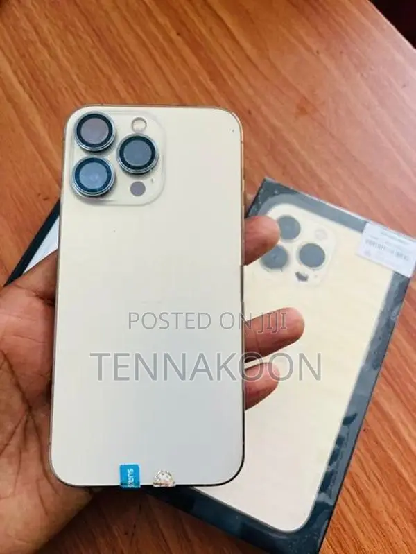 Apple iPhone 13 Pro 256GB (Used)
