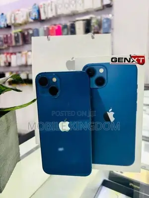 Apple iPhone 13 128GB Fullset Box (Used)