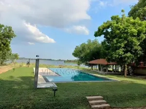 Malaysian Grass