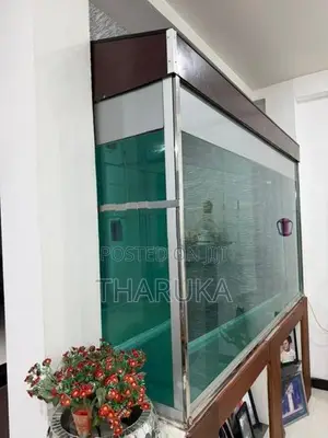 Large Fish Tank