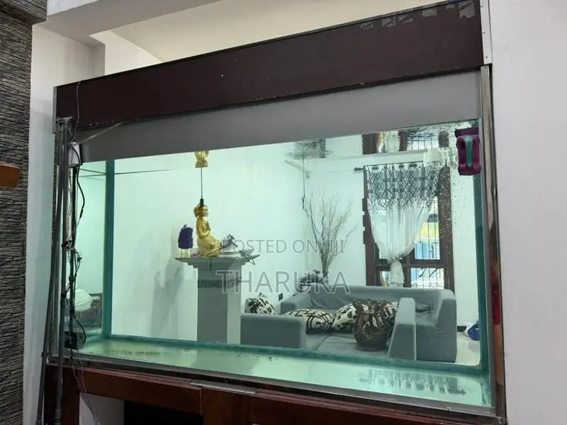 Large Fish Tank