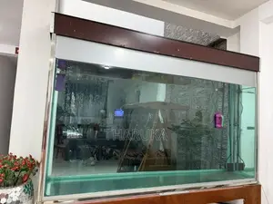 Large Fish Tank