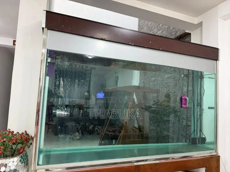 Large Fish Tank