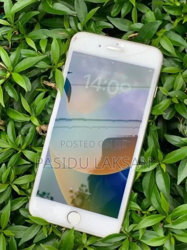 Apple iPhone 8 Plus (Used)