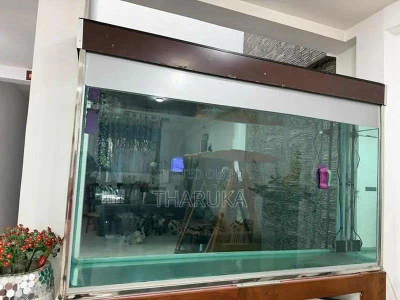 Large Fish Tank