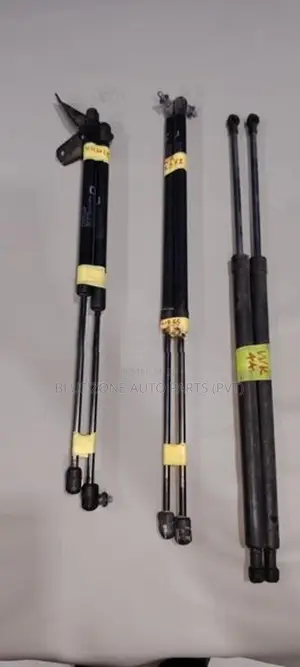 Suzuki Wagon R Dicky Door Shocks