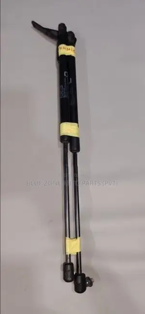Suzuki Wagon R Dicky Door Shocks