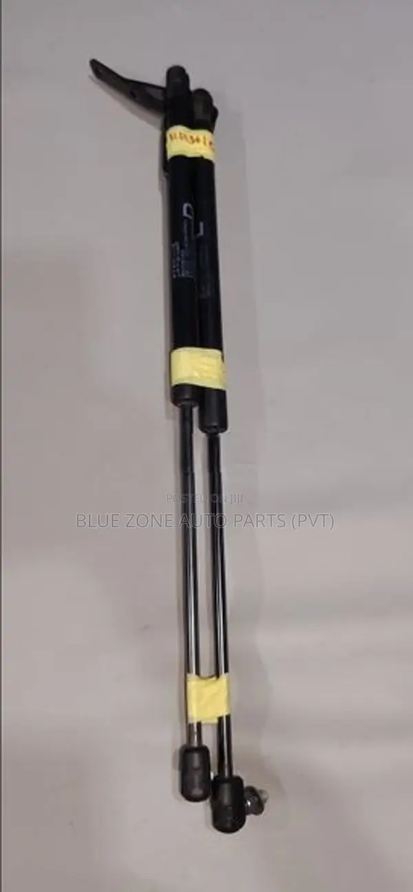 Suzuki Wagon R Dicky Door Shocks