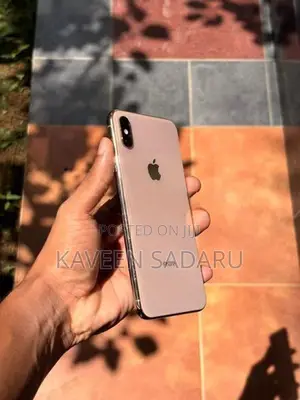 Apple iPhone XS Max (Used)